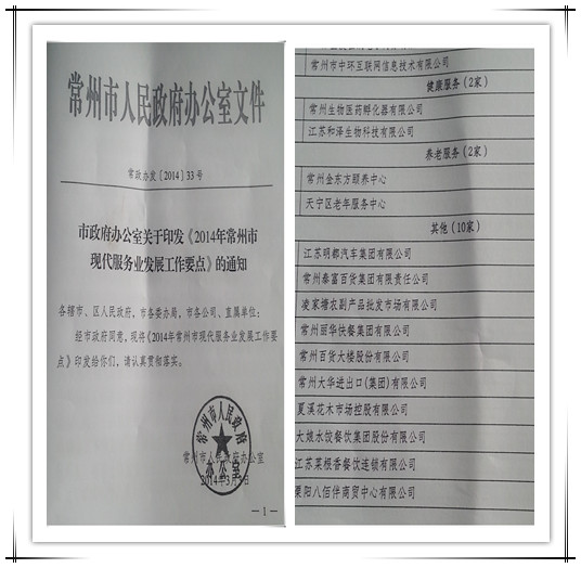 常州市政府再次確立中環(huán)互聯(lián)網(wǎng)為2014年現(xiàn)代服務(wù)業(yè)重點(diǎn)培育企業(yè)，中環(huán)互聯(lián)網(wǎng)作為常州電子商務(wù)領(lǐng)軍企業(yè)，15年專注在為企業(yè)提供互聯(lián)網(wǎng)營(yíng)銷解決方案。